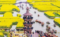 办事消费注入了新活力